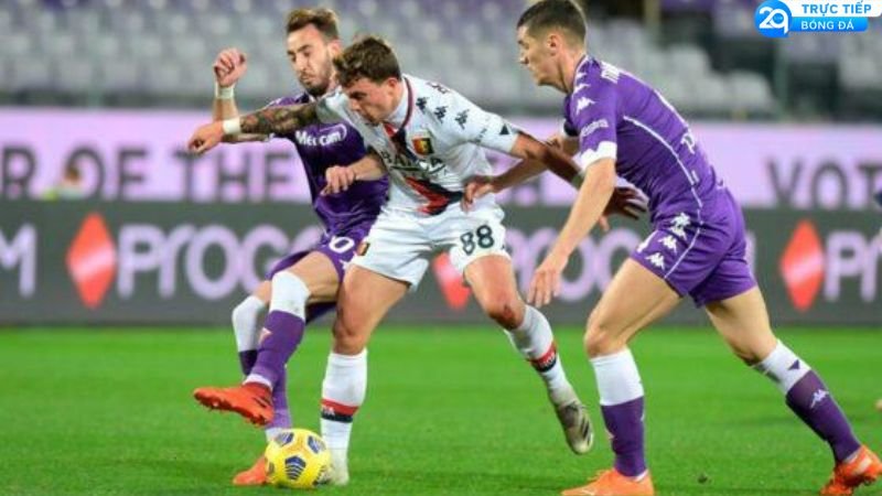 soi-keo-genoa-vs-fiorentina-1