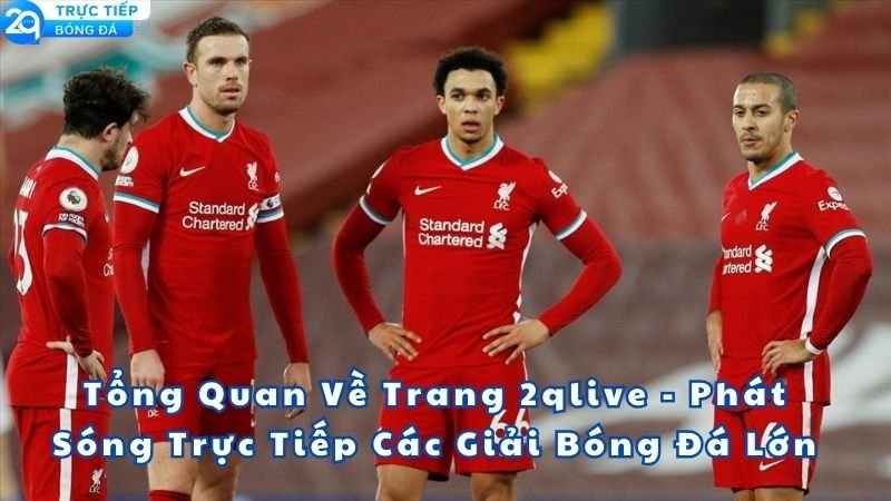 trang-binh-luan-the-thao-2qlive-1