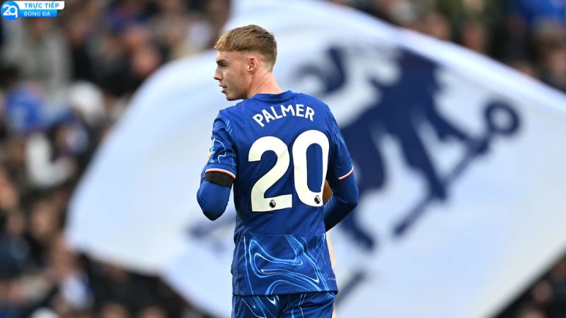 cole-palmer-1
